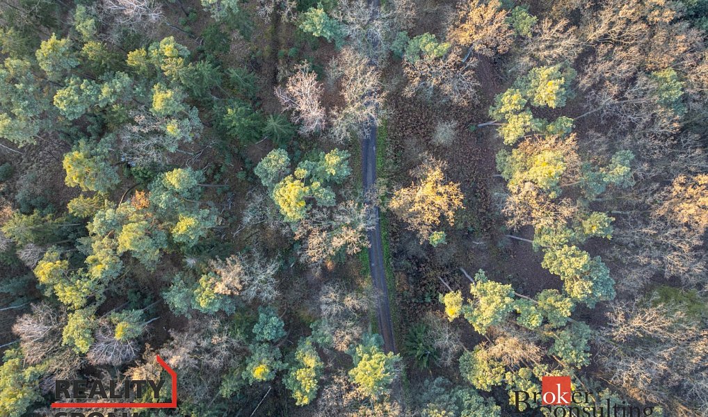 Prodej domu 193 m² s pozemkem 816 m², Sezemice – náhled fotky 12