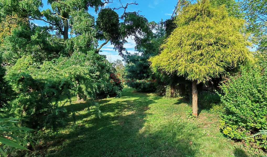 Prodej domu 200 m² s pozemkem 1 750 m², Vražné – náhled fotky 10