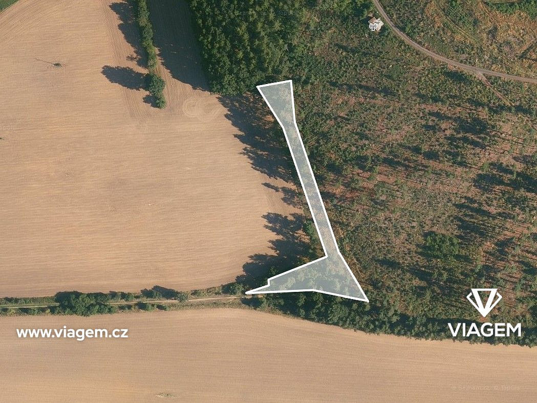 Prodej lesa 510 m² – fotografie 2