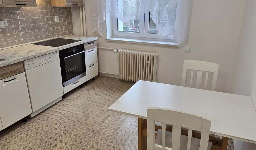 Pronájem domu 70 m² s pozemkem 335 m², Plzeň – náhled fotky 9
