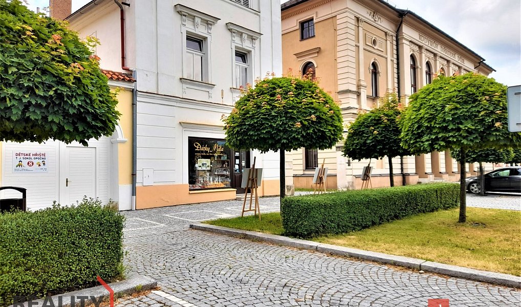 Pronájem bytu 3+kk, 68 m², Rychnov nad Kněžnou, Opočno