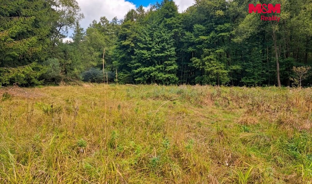 Prodej louky 10 113 m², Kožlany – náhled fotky 12