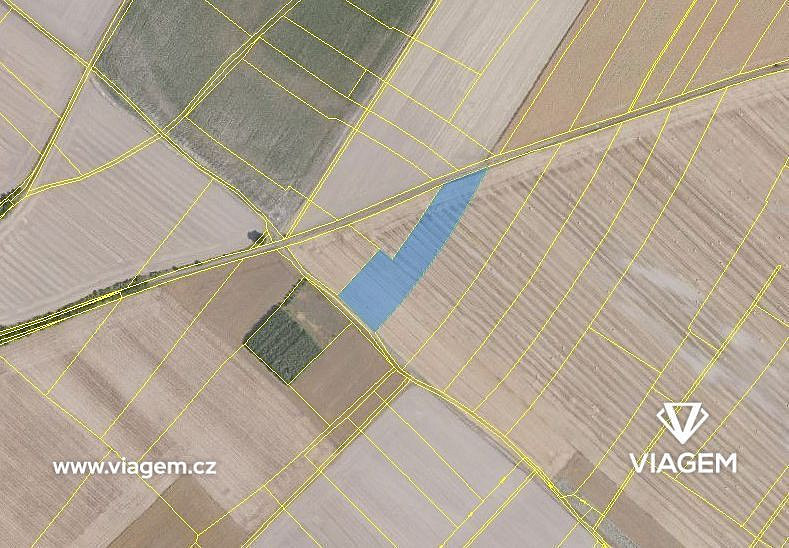 Prodej pole 4 453 m² – fotografie 2