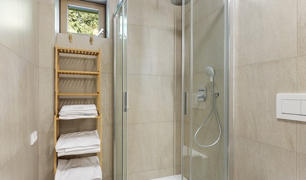Prodej komerčního objektu (jiného typu) 43 m², Javorník – náhled fotky 8
