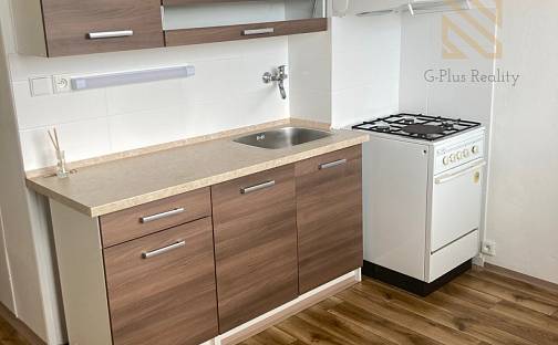 Prodej bytu 1+1 42 m², Stavbařů, Ústí nad Labem - Severní Terasa