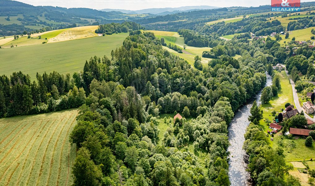 Prodej lesa 36 610 m², Peřimov – náhled fotky 4
