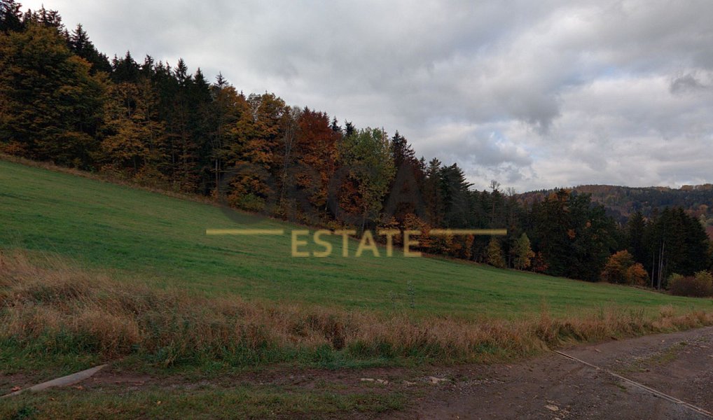 Prodej louky 16 164 m², Slaná – náhled fotky 4