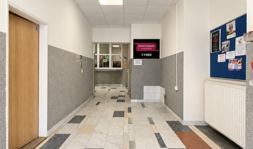 Prodej bytu 1+1 36 m², Praha – náhled fotky 13