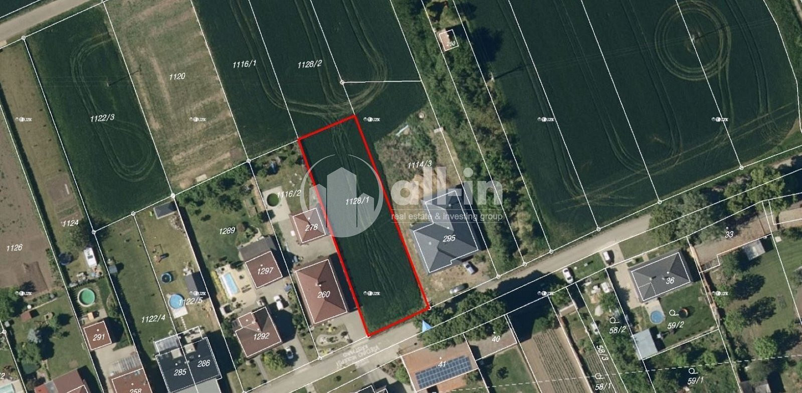 Fotka 7 z 7
