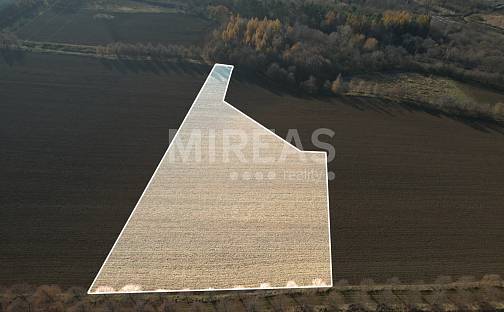 Prodej pole 7 476 m², Praha 10