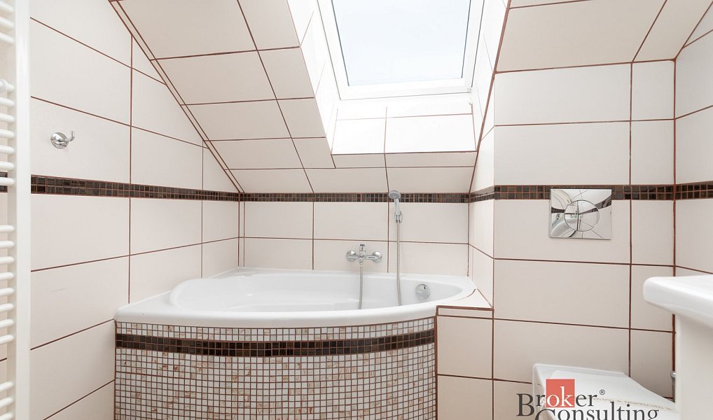 Prodej komerčního objektu (jiného typu) 261 m², Rudná pod Pradědem – náhled fotky 34