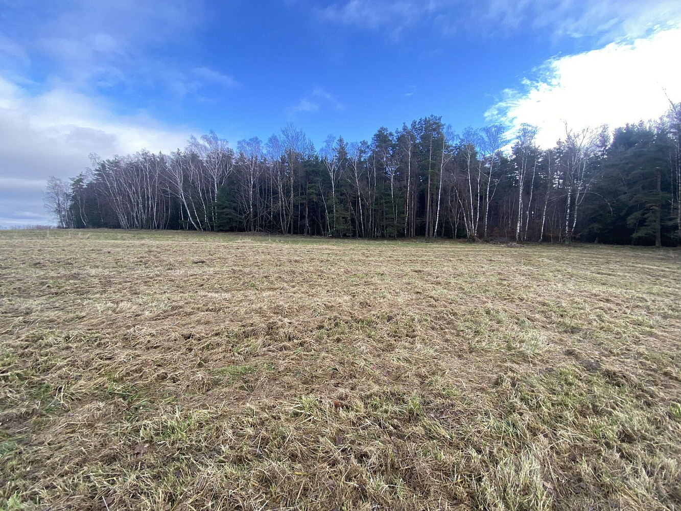 Prodej pozemku 11 526 m² – fotografie 3