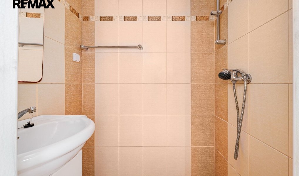 Prodej domu 292 m² s pozemkem 990 m², Chotoviny – náhled fotky 42