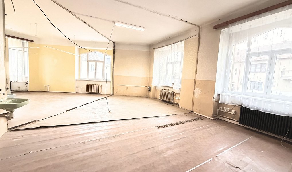 Prodej domu 983 m² s pozemkem 568 m², Milevsko – náhled fotky 10