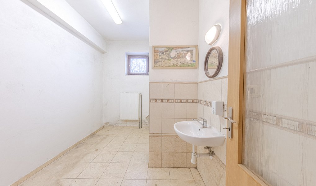 Prodej zemědělského objektu 398 m², Rosice – náhled fotky 26