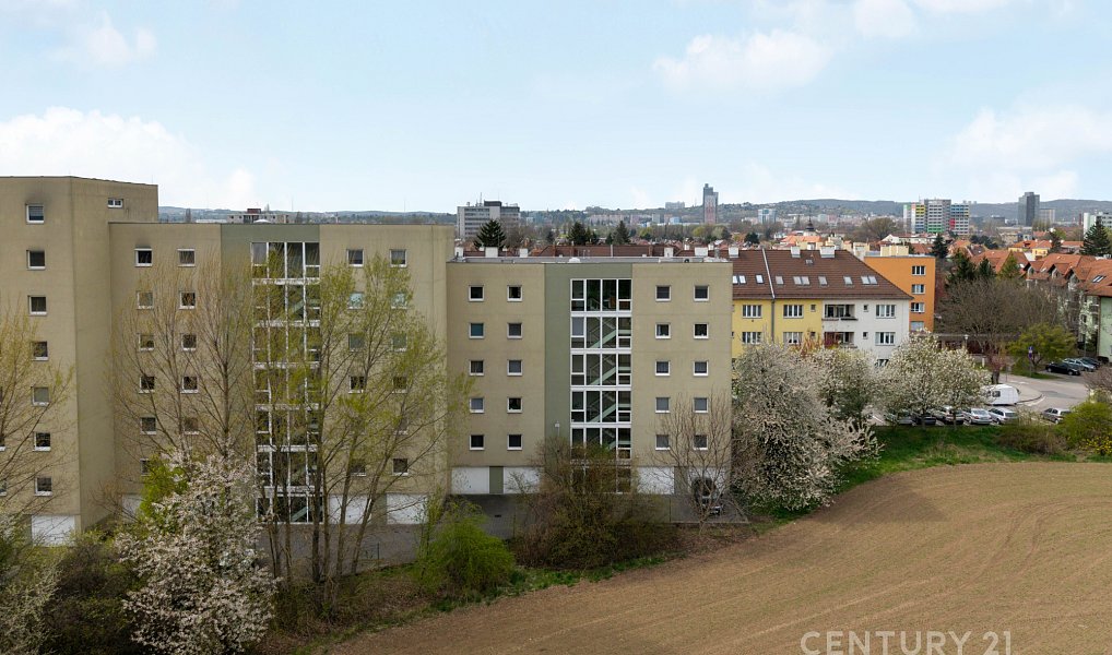 Prodej bytu 2+kk 56 m², Brno – náhled fotky 16