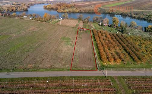Prodej pozemku 2 791 m², U Rybníka, Velké Bílovice, okres Břeclav