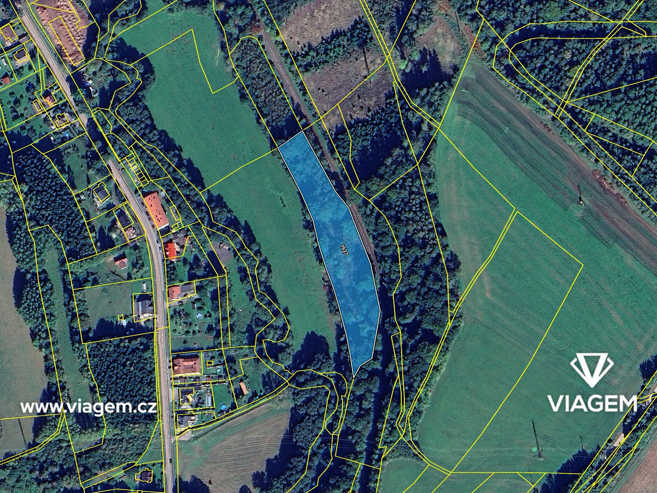 Prodej lesa 5 014 m² – fotografie 4