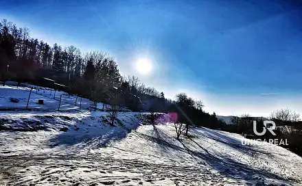 Prodej zahrady 756 m², Mánesova, Boskovice, okres Blansko