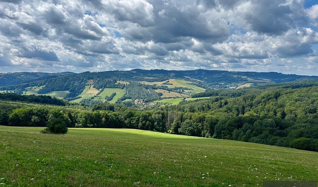 Prodej stavebního pozemku 6 433 m², Žítková – náhled fotky 6