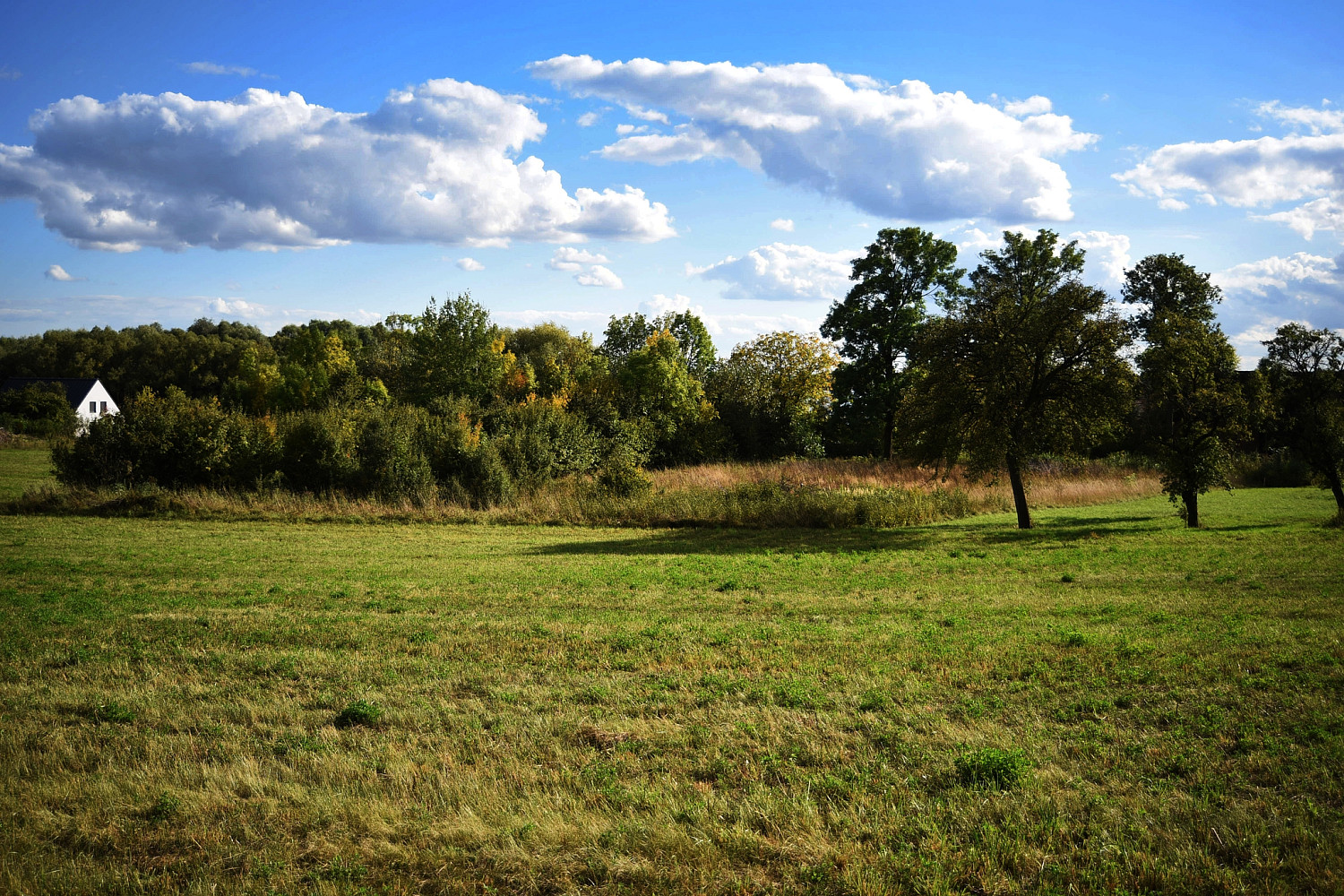 Prodej stavebního pozemku 1 356 m² – fotografie 5