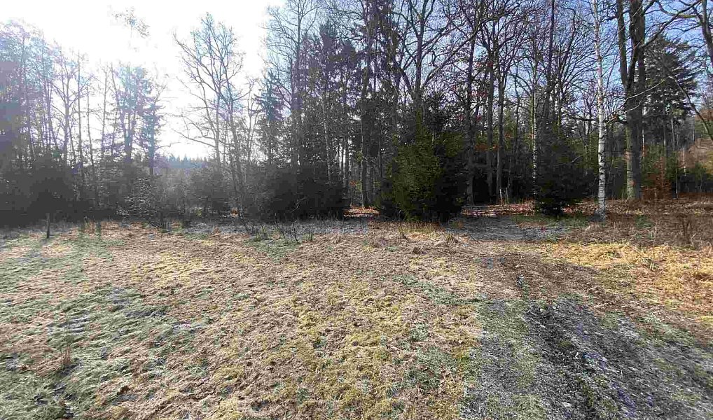 Prodej pole 5 206 m², Karlovice – náhled fotky 2