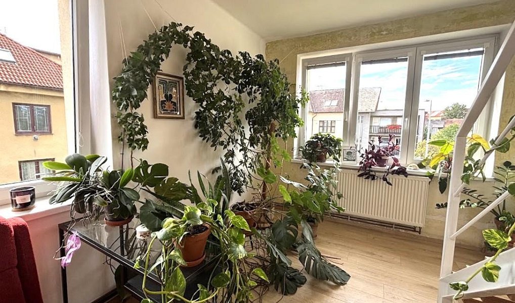 Prodej bytu 3+kk 103 m², Pardubice – náhled fotky 6