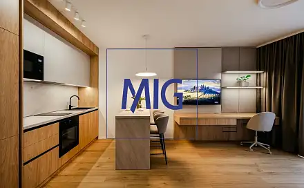 Pronájem bytu 1+kk 45 m²