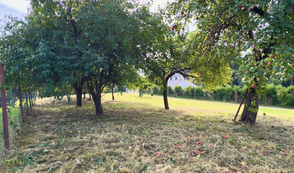 Prodej stavebního pozemku 744 m², Horní Police – náhled fotky 8