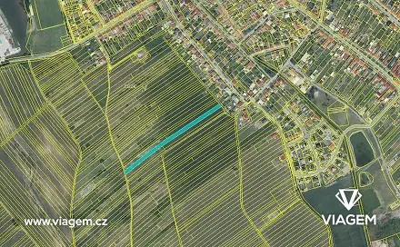 Prodej pole 293 m², Hrušky, okres Břeclav