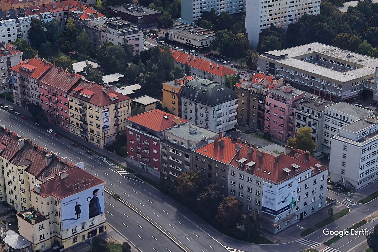 Fotka 9 z 11
