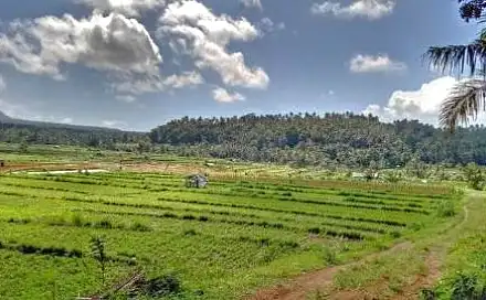 Prodej stavebního pozemku 1 580 m², Bebandem, Karangasem, Indonézie