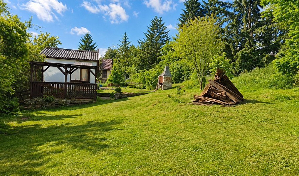 Prodej chaty/chalupy 28 m² s pozemkem 520 m², Libčice nad Vltavou – náhled fotky 7