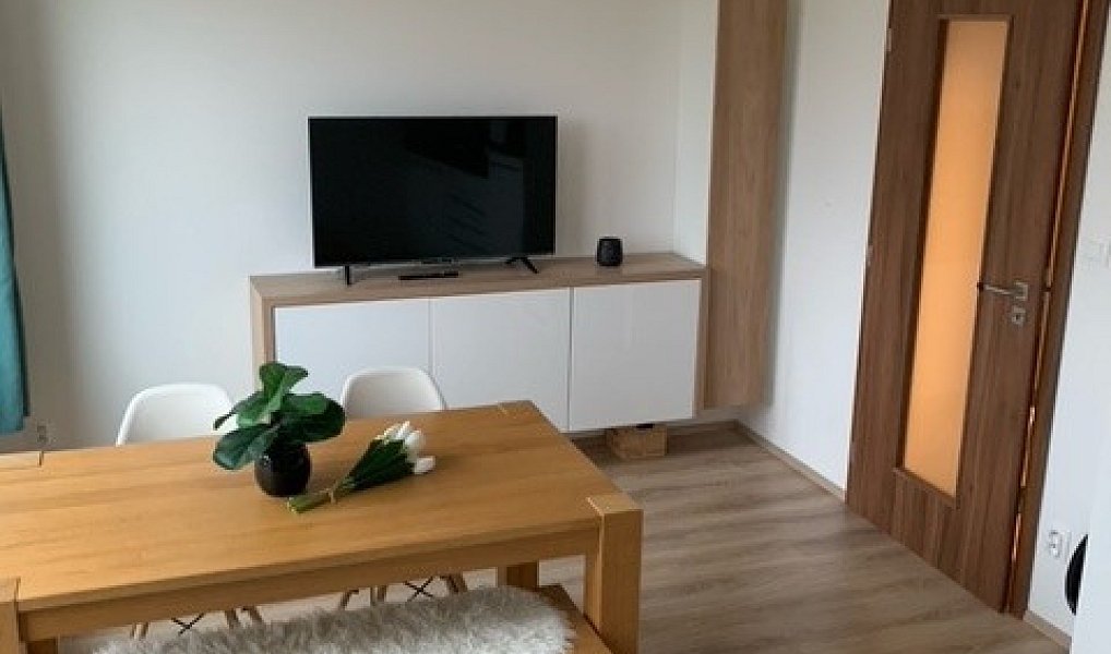 Pronájem bytu 1+kk 41 m², Brandýs nad Labem-Stará Boleslav – náhled fotky 6