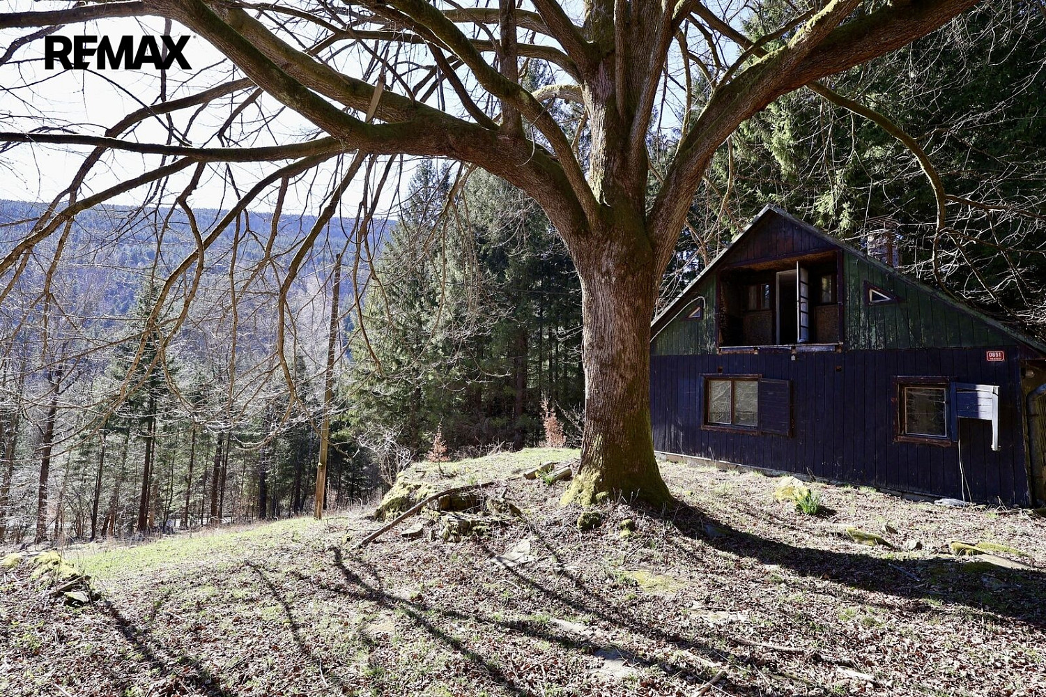 Prodej chaty/chalupy 180 m² s pozemkem 7 880 m² – fotografie 4