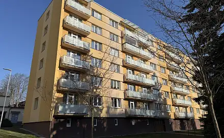 Prodej bytu 2+1 48 m², Friedova, Pelhřimov