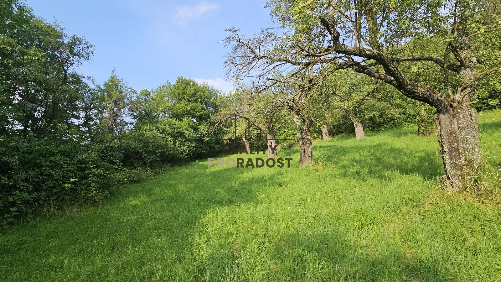 Prodej pozemku 4 253 m² – další