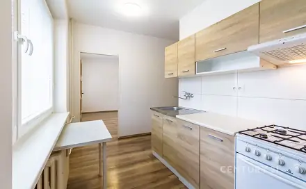 Pronájem bytu 2+1 39 m², Čechova, Kladno