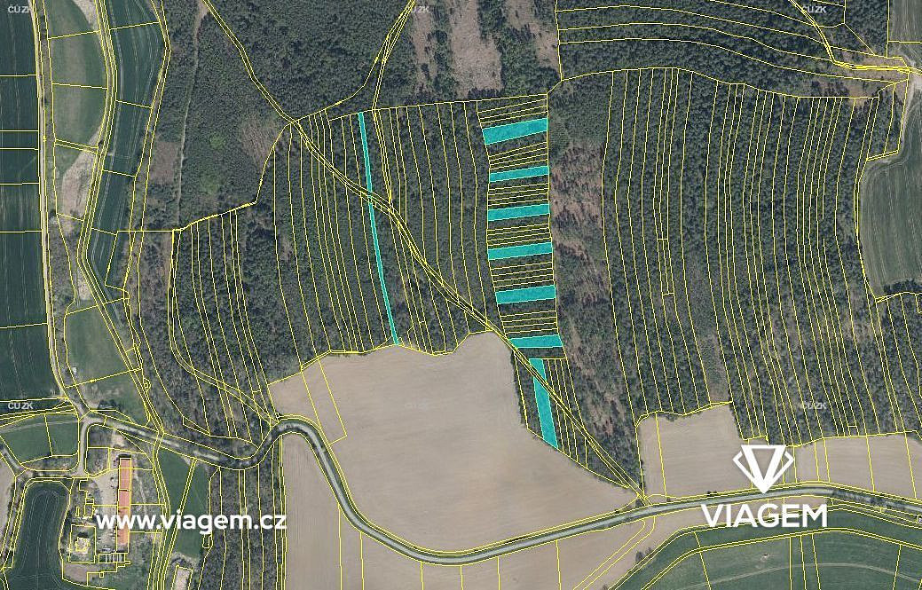 Prodej lesa 2 599 m² – fotografie 3