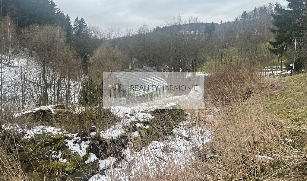 Prodej stavebního pozemku 3 206 m², Benecko – náhled fotky 18