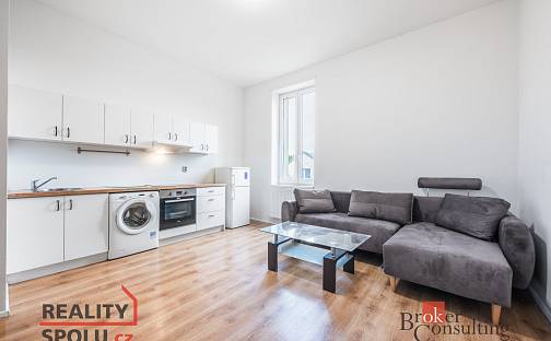 Pronájem bytu 1+kk 29 m², Erbenova, Ostrava - Vítkovice