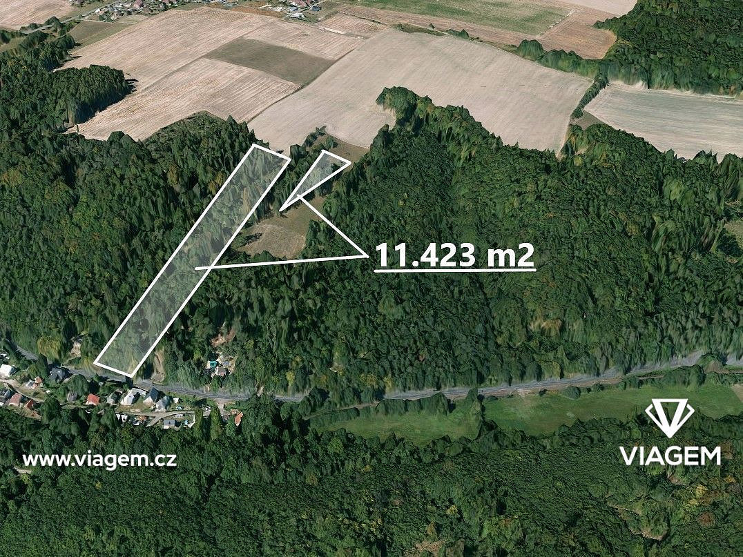 Prodej lesa 11 423 m²