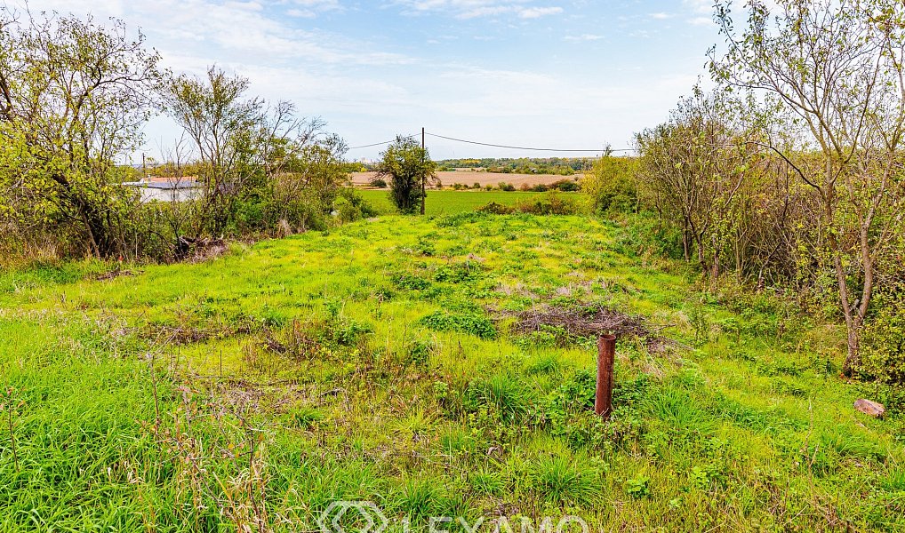 Prodej vinný sklep, 341 m2 - Strachotice, Strachotice – náhled fotky 13