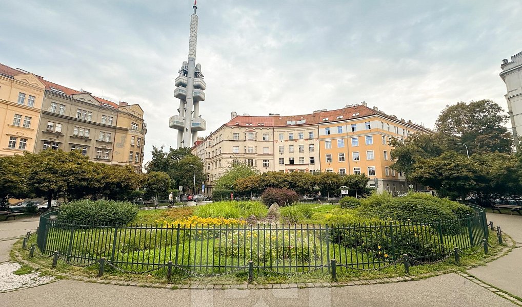Pronájem bytu 2+1 52 m², Praha – náhled fotky 12
