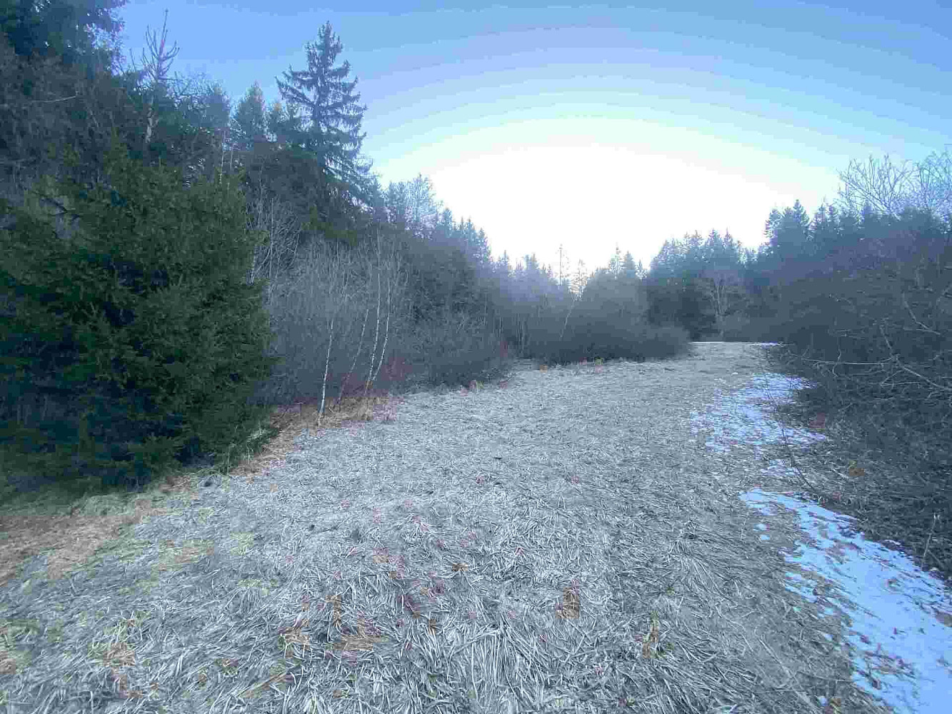 Prodej pole 2 377 m²