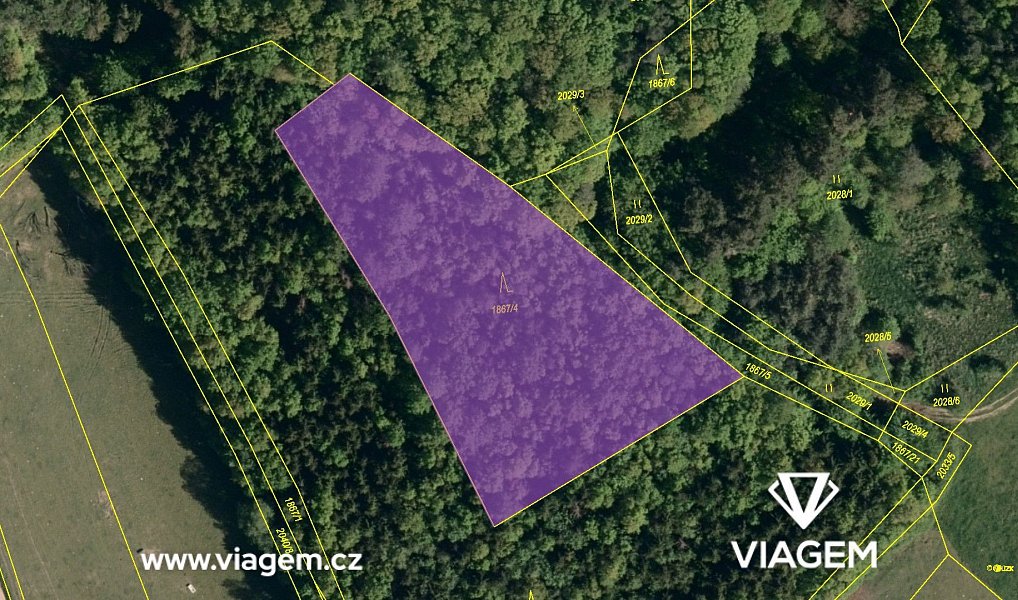 Prodej lesa 1 886 m², Vizovice – náhled fotky 4