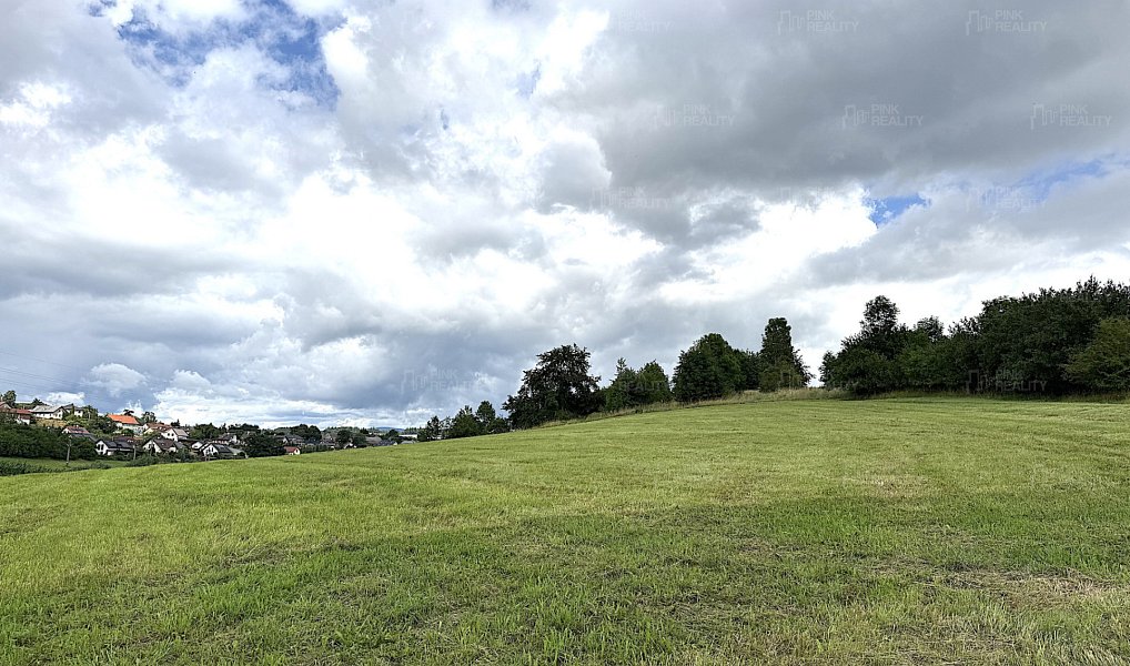 Prodej louky 16 663 m², Rychnov nad Kněžnou – náhled fotky 7