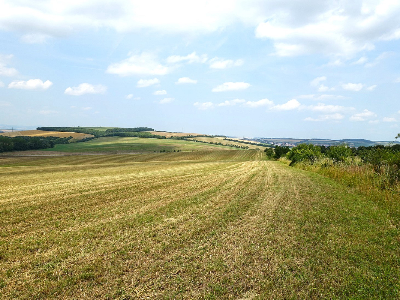Prodej pole 6 120 m² – fotografie 3