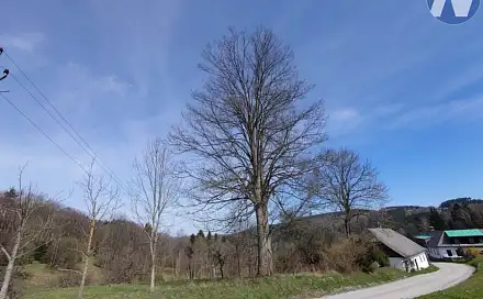 Prodej stavebního pozemku 3 652 m², Záblatí, okres Prachatice