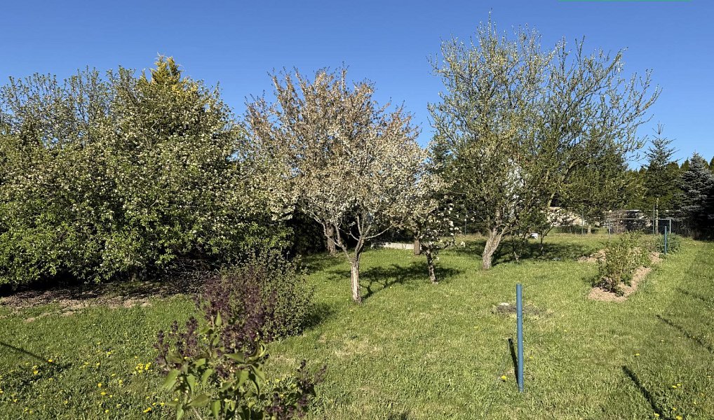 Prodej stavebního pozemku 406 m², Bolešiny – náhled fotky 3